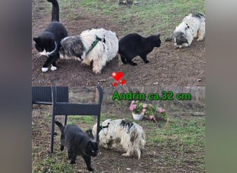 Andrin hat keine schöne Vergangenheit