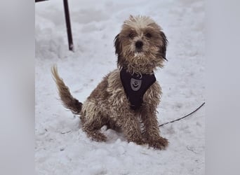 Natassi wird gerne mental gefordert