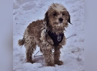 Natassi wird gerne mental gefordert