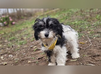 Abby möchte die Welt erobern