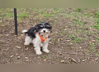 Alexia kennt nicht viel von der Welt