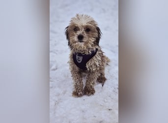 Natassi wird gerne mental gefordert