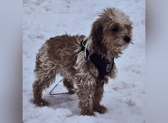 Natassi wird gerne mental gefordert