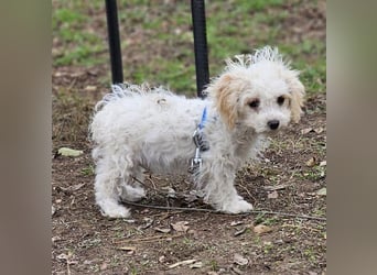 Arion möchte noch viel lernen