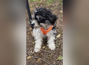 Alexia kennt nicht viel von der Welt