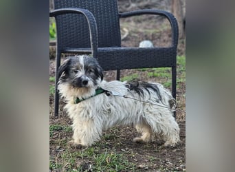 Andrin hat keine schöne Vergangenheit