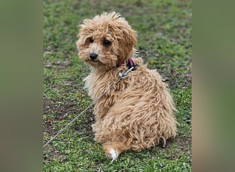 Joella hat ein fröhlichen Wesen