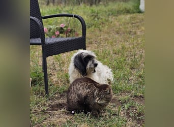 Baily ist bereit Neues zu lernen