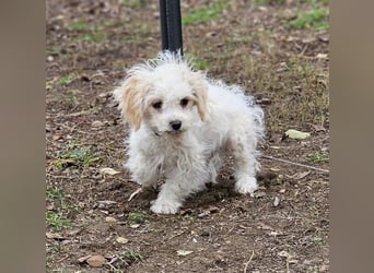 Arion möchte noch viel lernen