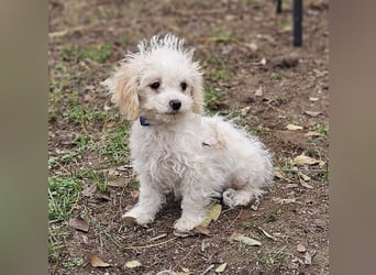 Arion möchte noch viel lernen