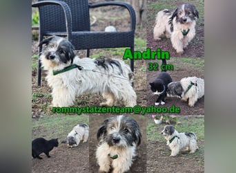 Andrin hat keine schöne Vergangenheit