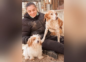 freundliche agile NINET