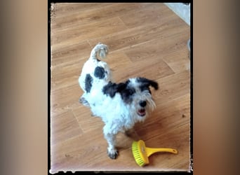 Chloé und Chanel suchen ein gemeinsames Zuhause