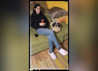 Chloé und Chanel suchen ein gemeinsames Zuhause