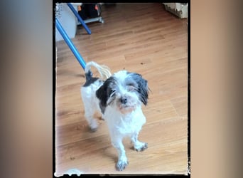 Chloé und Chanel suchen ein gemeinsames Zuhause