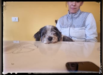 Chloé und Chanel suchen ein gemeinsames Zuhause