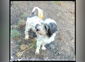 Chloé und Chanel suchen ein gemeinsames Zuhause