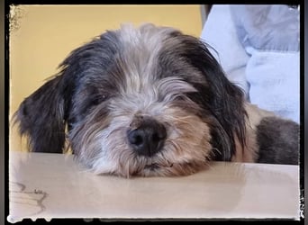 Chloé und Chanel suchen ein gemeinsames Zuhause