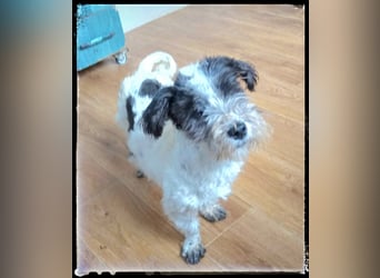 Chloé und Chanel suchen ein gemeinsames Zuhause