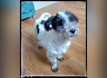 Chloé und Chanel suchen ein gemeinsames Zuhause