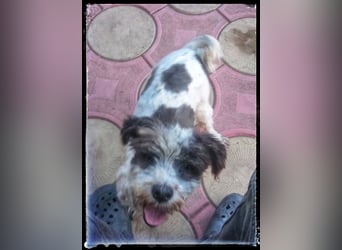 Chloé und Chanel suchen ein gemeinsames Zuhause