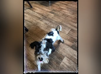 Chloé und Chanel suchen ein gemeinsames Zuhause