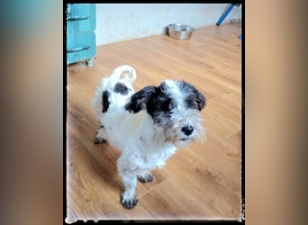 Chloé und Chanel suchen ein gemeinsames Zuhause