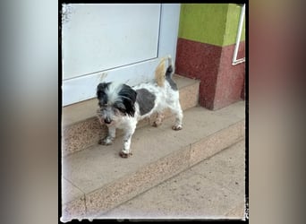 Chloé und Chanel suchen ein gemeinsames Zuhause