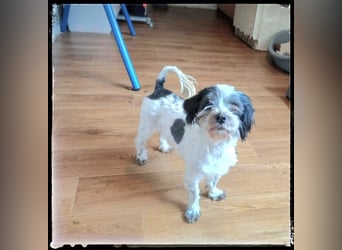 Chloé und Chanel suchen ein gemeinsames Zuhause