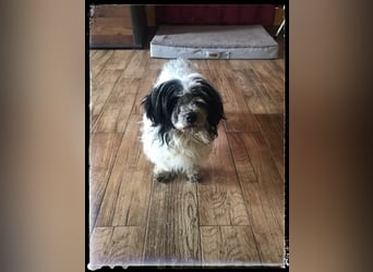 Chloé und Chanel suchen ein gemeinsames Zuhause