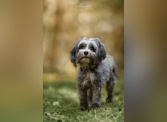 Ebony - freundlich&aktiv