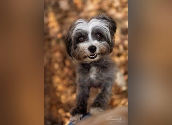 Ebony - freundlich&aktiv