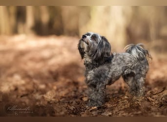 Ebony - freundlich&aktiv