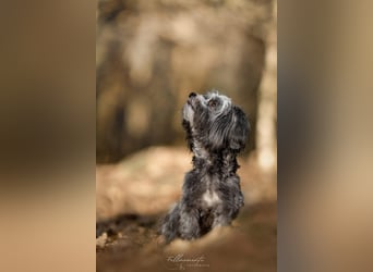 Ebony - freundlich&aktiv