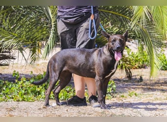 Powerlady Lindinha ❤️ ist nichts für Stubenhocker