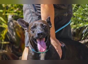Powerlady Lindinha ❤️ ist nichts für Stubenhocker