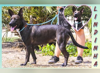 Powerlady Lindinha ❤️ ist nichts für Stubenhocker