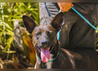 Powerlady Lindinha ❤️ ist nichts für Stubenhocker