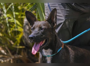 Powerlady Lindinha ❤️ ist nichts für Stubenhocker