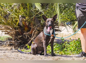 Powerlady Lindinha ❤️ ist nichts für Stubenhocker