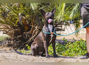 Powerlady Lindinha ❤️ ist nichts für Stubenhocker