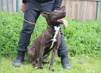 Powerlady Lindinha ❤️ ist nichts für Stubenhocker