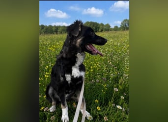 Carla - ländliches Zuhause gesucht
