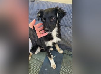 Carla - so zerbrechlich