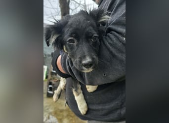 Carla - friert in der Kälte