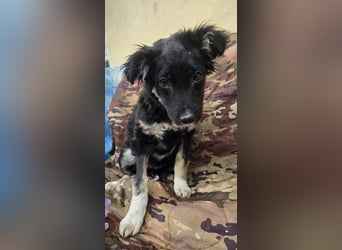 Carla - friert in der Kälte