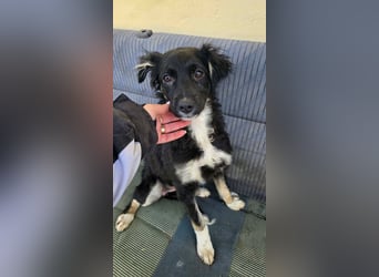 Carla - so zerbrechlich