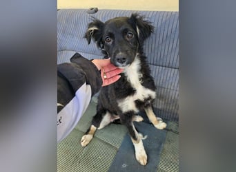 Carla - so zerbrechlich