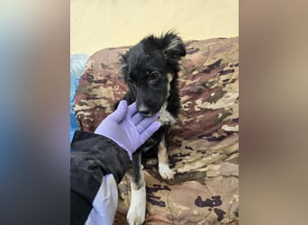 Carla - friert in der Kälte