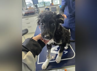 Carla - friert in der Kälte